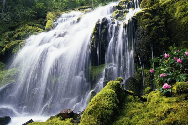 Taller-de-MINDFULNESS-ATENCIÓN-PLENA-Oviedo