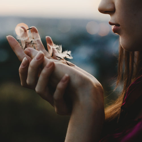 Aprende a cuidar tus emociones. Bienestar Emocional. Oviedo